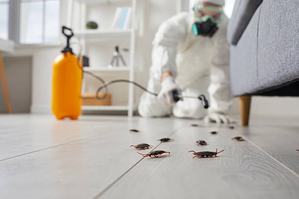 Trusted Rodent Control service in Whitesburg, KY - Nex Pest Control
